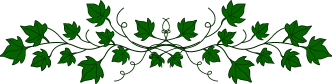 green leafy vine divider